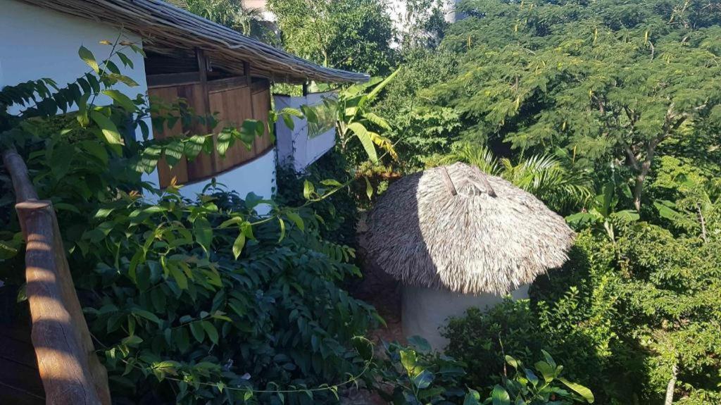Bamboojam Villa Las Terrenas Exterior foto